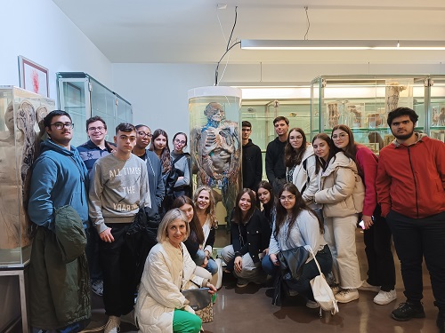  VISITA AO MUSEU DE ANATOMIA DO INSTITUTO DE CIÊNCIAS BIOMÉDICAS ABEL SALAZAR
